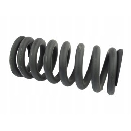 Front kingpin spring 4011 3608 40