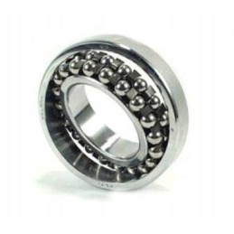 Bearing 1309 zvl