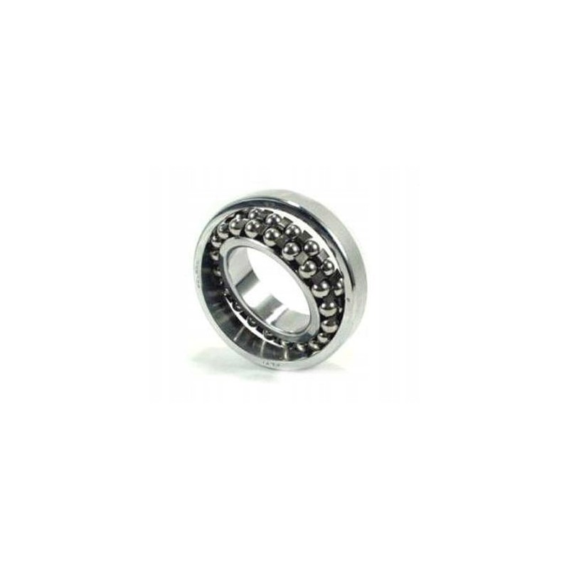 Bearing 1309 zvl