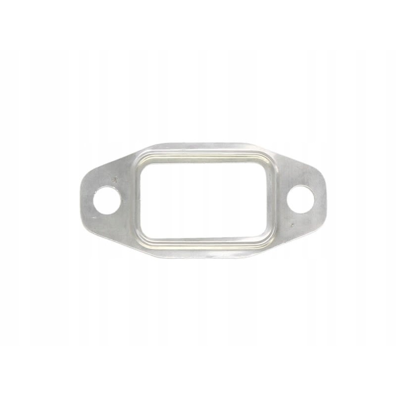 Intake manifold exhaust victor reinz 71 29031 20