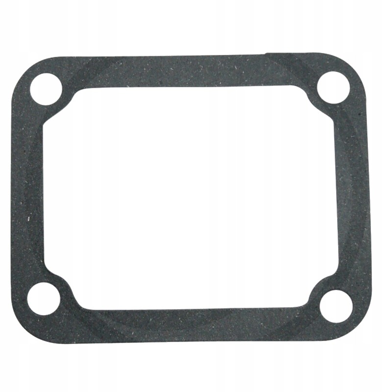 Side head cover gasket 80005022