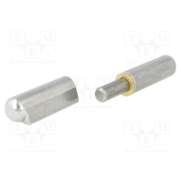 1 pcs x ELESA+GANTER - GN128-100-ST - Hinge, L: 100mm, steel, Pin material: steel