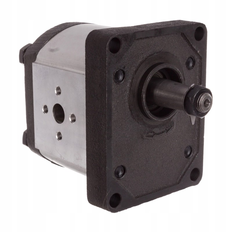 Left hydraulic pump mf landini 1825210m91