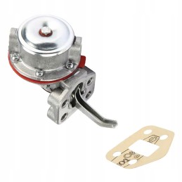 Massey Ferguson 4222449M91 feeding pump