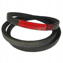 HB 1700 morga belt, super reinforced gear