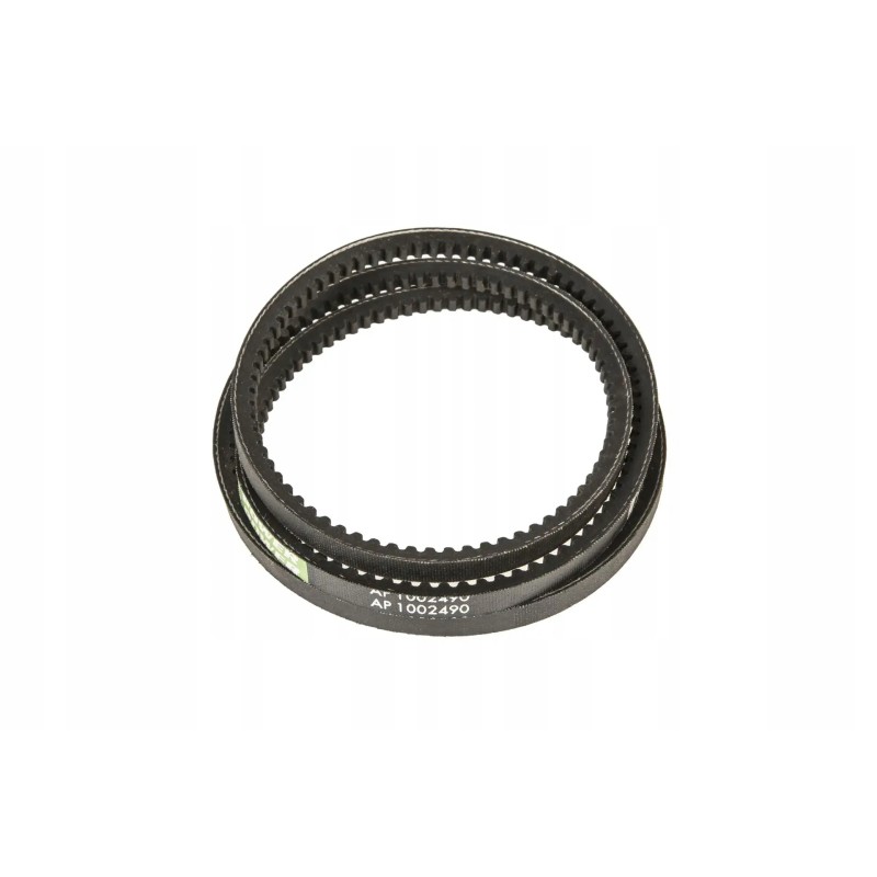 1002490 alternator V-belt AVX10 x 1450 LA