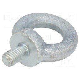 1 pcs x ELESA+GANTER - DIN 580-M10-ST - Lifting eye bolt, M10x17, Head: eye, steel, zinc, DIN 580, Ø: 25mm