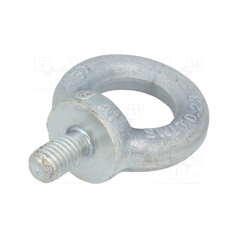1 pcs x ELESA+GANTER - DIN 580-M10-ST - Lifting eye bolt, M10x17, Head: eye, steel, zinc, DIN 580, Ø: 25mm