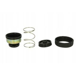 JCB 32 926045 fuel pump repair kit