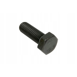 V529702630 flywheel housing bolt