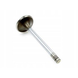 Intake valve 41x9x117 Renault Claas 7701006369 6226