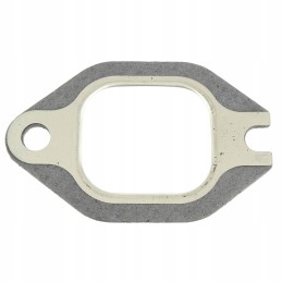 Manifold gasket case steyr fiat 4601981 481356