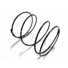 Amplifier zetor spring