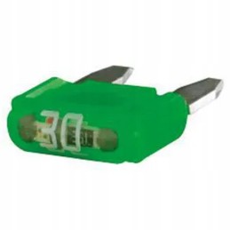 Blade fuse 30a green set of 10 pcs