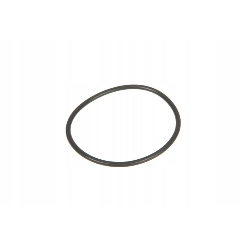 X548929066000 front suspension o-ring