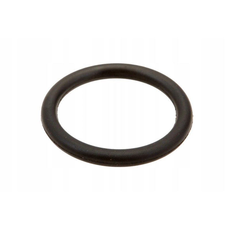 6005013346 o-ring