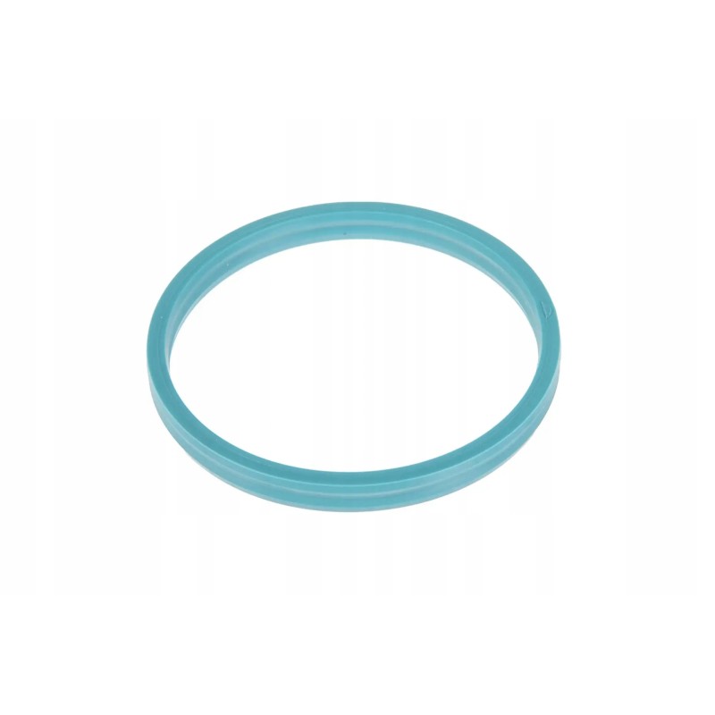 218117 01 sealing ring 50 x 45 4 x 5 4