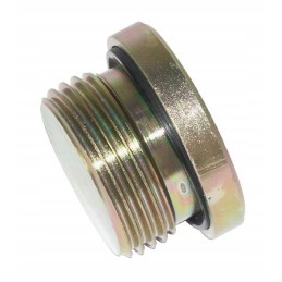 Plug with seal 1 bsp