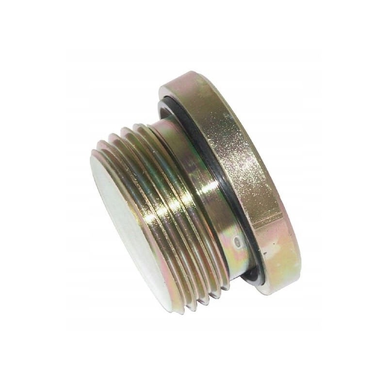 Plug with seal 1 bsp