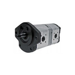 Hydraulic pump Renault 0510565323 6005020874