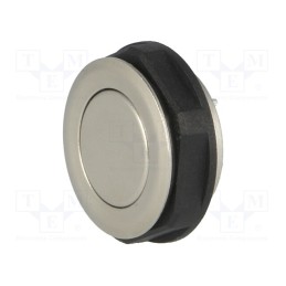 1 pcs x SCHURTER - 1241.28 - Switch: vandal resistant, Pos: 2, SPST-NO, 0.125A/48VDC, IP65