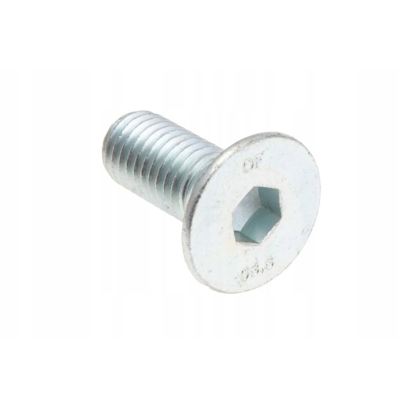 19m10195 Allen screw M12 x 30