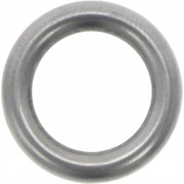 O-ring case new holland steyr 4890929