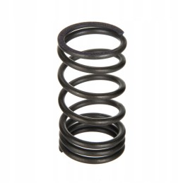 Exhaust valve spring claas landini jcb mf