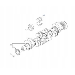 Set of thrust washers New Holland Case 500086