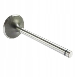 C 385 intake valve C 385 Andoria mot packed in 4s