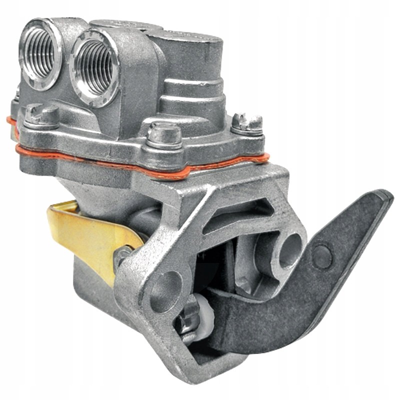 Diaphragm feed pump