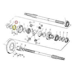 Differential bearing nut c 330 500