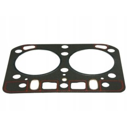 Head gasket with silicone 42022090 c 330 4202