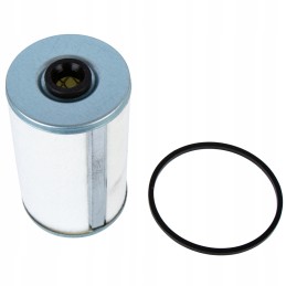 Sk48109 Zetor Fendt Deutz fuel filter insert