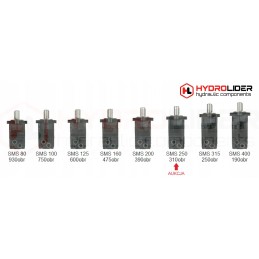 Hydraulic motor sms 250 o4w for hydrolider