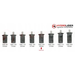 Hydraulic motor sms 200 o4w32 p90t hydrolider