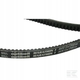 Toothed V-belt AVX 13 1700 mm