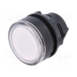 1 pcs x SCHNEIDER ELECTRIC - ZB5AW313 - Switch: push-button, 22mm, Stabl.pos: 1, white, IP66, flat, Pos: 2