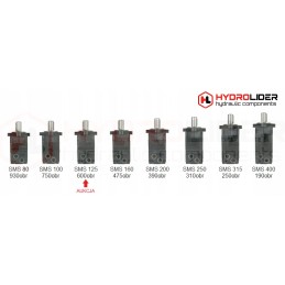Hydraulic motor sms 125 o4 wom hydrolider