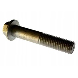 Screw M18 95 Polish 64100260