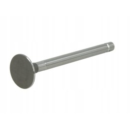 Paradowski purs013 exhaust valve