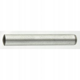 Cylindrical pin 77720173064 scharmuller