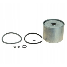 Fuel filter insert for mf 3 c 360 3p can pm819