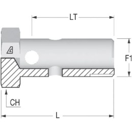 Overflow screw m16x1 5