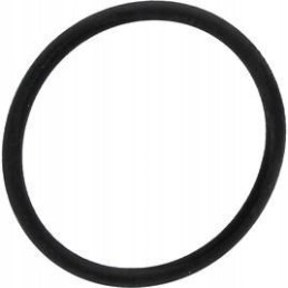 O-ring fendt f816200710040