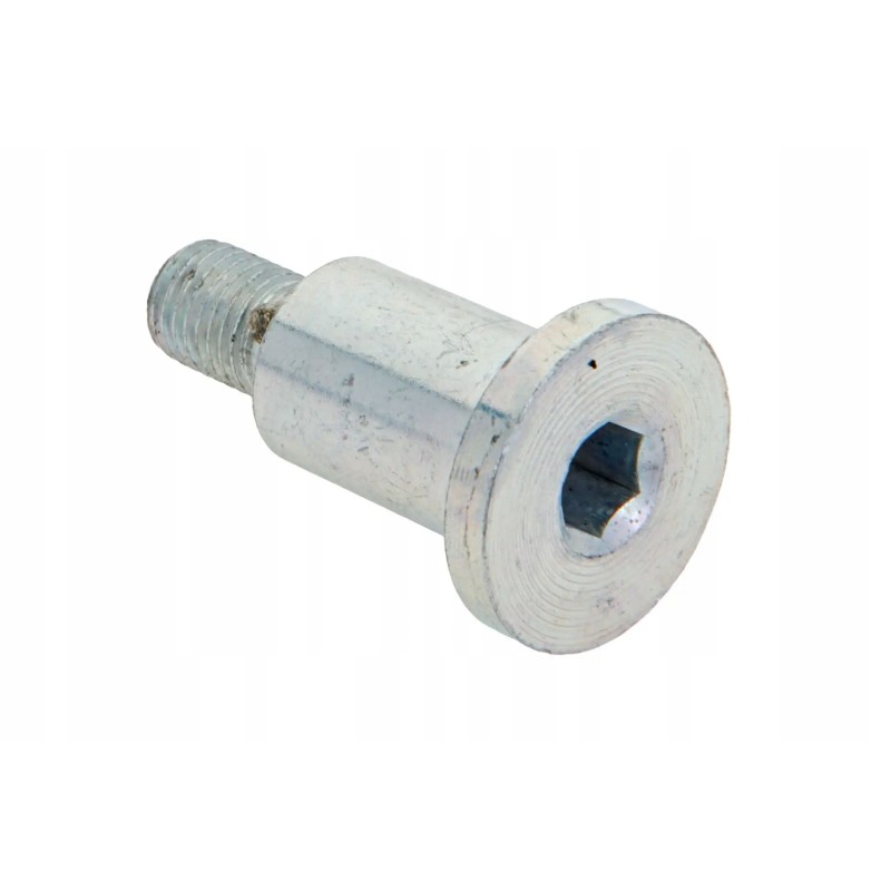 P5s43105109 self-adjusting screw m8 x 1