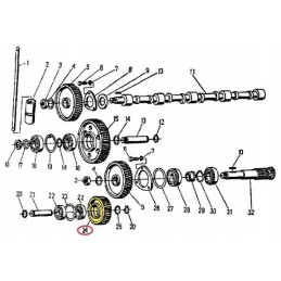Intermediate lower timing gear 950416 c 360 degrees o