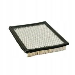 Donaldson P606063 air filter
