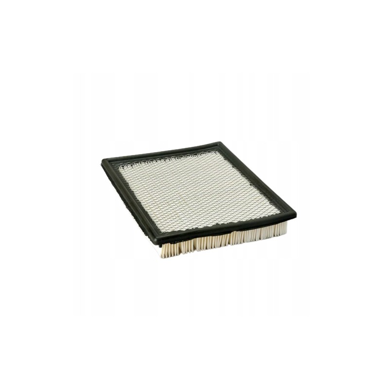 Donaldson P606063 air filter