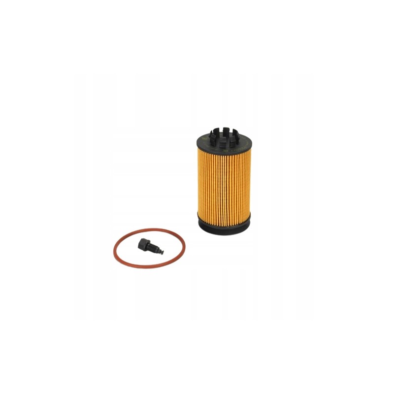 Donaldson p506077 oil filter insert